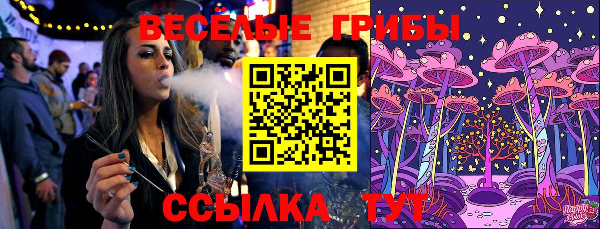 Псилоцибиновые грибы прущие грибы Всеволожск